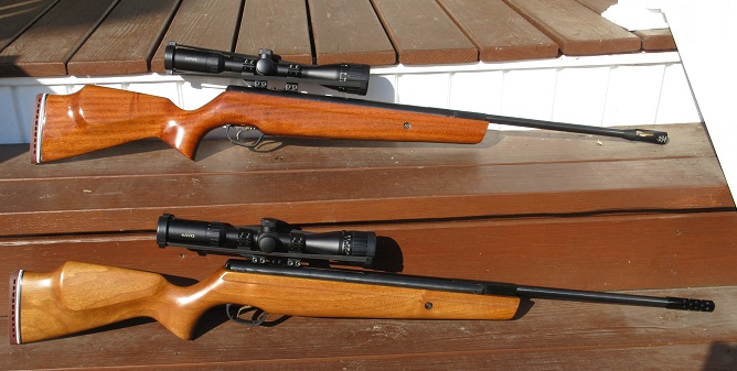 Twin Tomahawks in .22